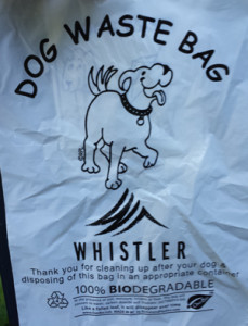 doggie-bag